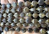 CCB2196 15 inches 10mm faceted coin bronzite gemstone beads