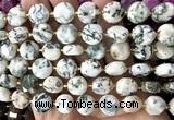 CCB2318 15 inches 12mm faceted coin tree agate gemstone beads