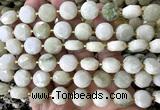 CCB2329 15 inches 12mm faceted coin Tianshan jade beads