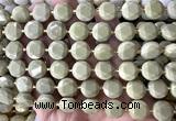 CCB2335 15 inches 12mm faceted coin Alashan jasper beads