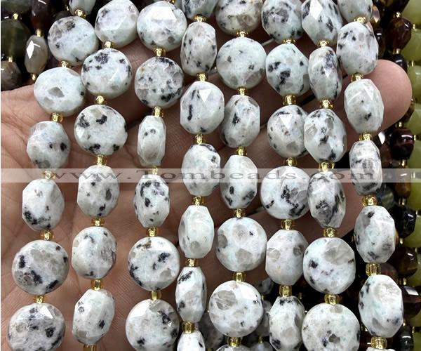 CCB2337 15 inches 12mm faceted coin sesame jasper beads