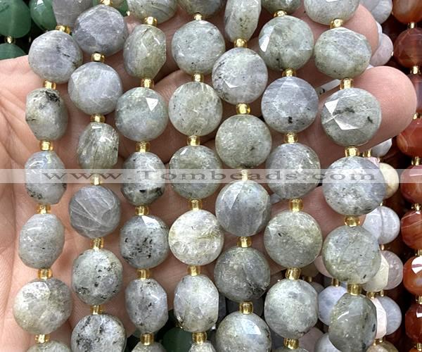CCB2358 15 inches 12mm faceted coin labradorite gemstone beads