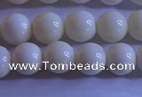 CCB302 15.5 inches 8mm round white coral beads wholesale