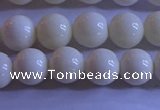 CCB302 15.5 inches 8mm round white coral beads wholesale