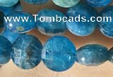 CCB615 15.5 inches 6mm faceted coin natural apatite gemstone beads