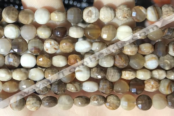 CCB622 15.5 inches 6mm faceted coin wood jasper gemstone beads