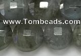 CCB684 15.5 inches 10mm faceted coin labradorite gemstone beads