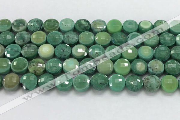 CCB689 15.5 inches 10mm faceted coin grass agate gemstone beads