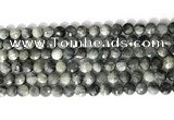 CCB765 15.5 inches 8mm faceted coin eagle eye jasper beads