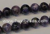 CCG27 15.5 inches 10mm round natural charoite gemstone beads