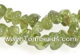 CCH16 35 inches green peridot chips gemstone beads wholesale