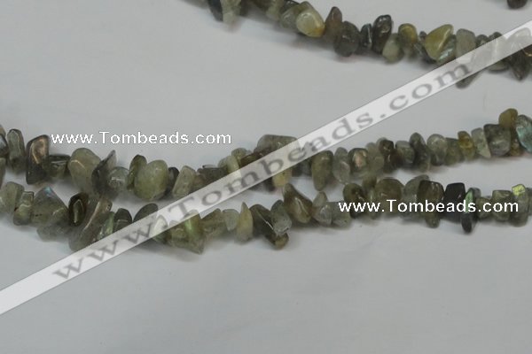 CCH217 34 inches 5*8mm labradorite chips gemstone beads wholesale