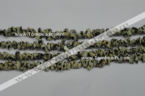 CCH228 34 inches 5*8mm dalmatian jasper chips gemstone beads wholesale