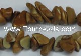 CCH229 34 inches 5*8mm grain stone chips gemstone beads wholesale