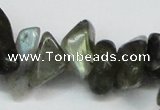 CCH277 34 inches 8*12mm labradorite chips gemstone beads wholesale