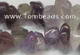 CCH291 34 inches 8*12mm amethyst chips gemstone beads wholesale