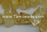 CCH292 34 inches 8*12mm citrine chips gemstone beads wholesale