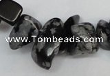 CCH299 34 inches 8*12mm snowflake obsidian chips gemstone beads wholesale