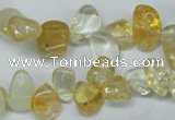 CCH312 15.5 inches 10*15mm citrine chips gemstone beads wholesale