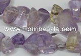 CCH314 15.5 inches 10*15mm ametrine chips gemstone beads wholesale