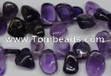 CCH315 15.5 inches 10*15mm amethyst chips gemstone beads wholesale