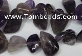 CCH316 15.5 inches 10*15mm amethyst chips gemstone beads wholesale