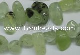 CCH318 15.5 inches 10*15mm prehnite chips gemstone beads wholesale