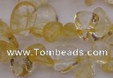 CCH612 15.5 inches 6*8mm - 10*14mm citrine chips gemstone beads