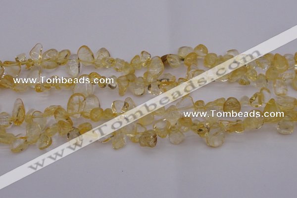 CCH612 15.5 inches 6*8mm - 10*14mm citrine chips gemstone beads