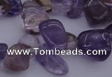 CCH614 15.5 inches 6*8mm - 10*14mm ametrine chips gemstone beads