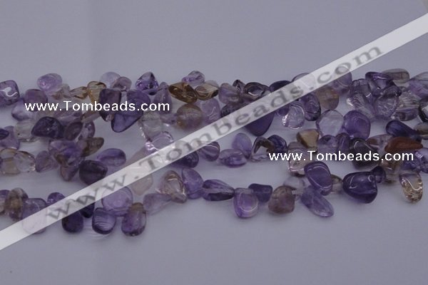 CCH614 15.5 inches 6*8mm - 10*14mm ametrine chips gemstone beads