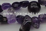 CCH615 15.5 inches 6*8mm - 10*14mm amethyst chips gemstone beads