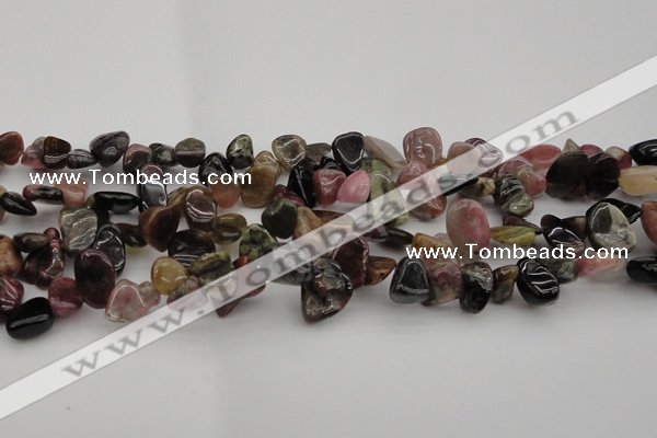 CCH616 15.5 inches 6*8mm - 10*14mm amethyst chips gemstone beads