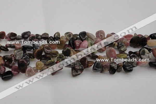 CCH616 15.5 inches 6*8mm - 10*14mm amethyst chips gemstone beads