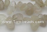 CCH622 15.5 inches 6*8mm - 10*14mm golden rutilated quartz chips beads