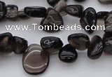 CCH623 15.5 inches 6*8mm - 10*14mm smoky quartz chips beads