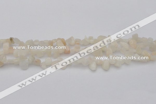 CCH624 15.5 inches 6*8mm - 10*14mm white moonstone chips beads