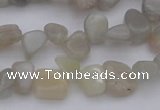 CCH625 15.5 inches 6*8mm - 10*14mm grey moonstone chips beads