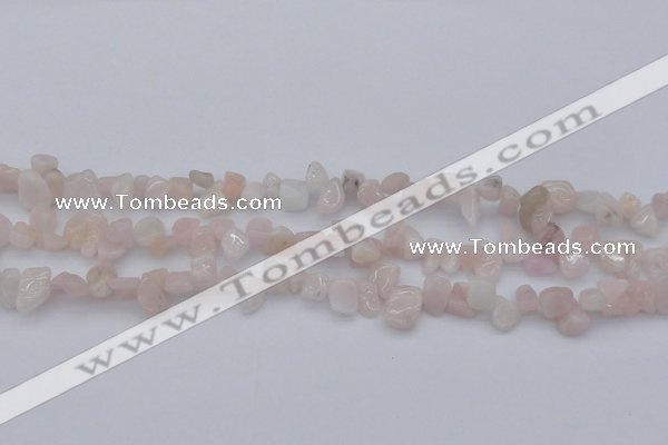 CCH626 15.5 inches 6*8mm - 10*14mm morganite gemstone chips beads