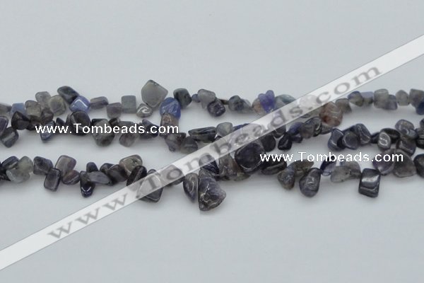 CCH627 15.5 inches 6*8mm - 10*14mm iolite gemstone chips beads