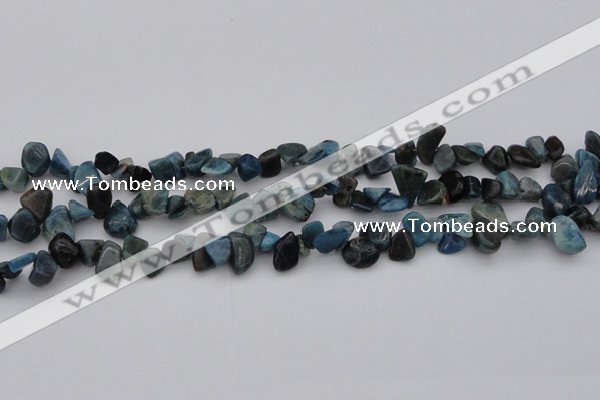 CCH628 15.5 inches 6*8mm - 10*14mm apatite gemstone chips beads