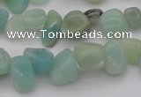 CCH630 15.5 inches 6*8mm - 10*14mm Chinese amazonite chips beads