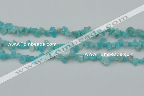 CCH631 15.5 inches 6*8mm - 10*14mm Peru amazonite chips beads