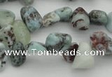 CCH632 15.5 inches 6*8mm - 10*14mm larimar amazonite chips beads