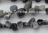 CCH633 15.5 inches 6*8mm - 10*14mm eagle eye jasper chips beads