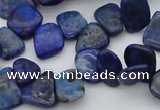 CCH634 15.5 inches 6*8mm - 10*14mm lapis lazuli chips beads