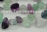 CCH635 15.5 inches 6*8mm - 10*14mm fluorite gemstone chips beads