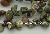 CCH637 15.5 inches 6*8mm - 10*14mm rhyolite gemstone chips beads