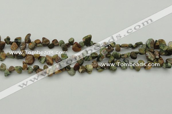 CCH637 15.5 inches 6*8mm - 10*14mm rhyolite gemstone chips beads