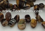 CCH638 15.5 inches 6*8mm - 10*14mm yellow tiger eye chips beads